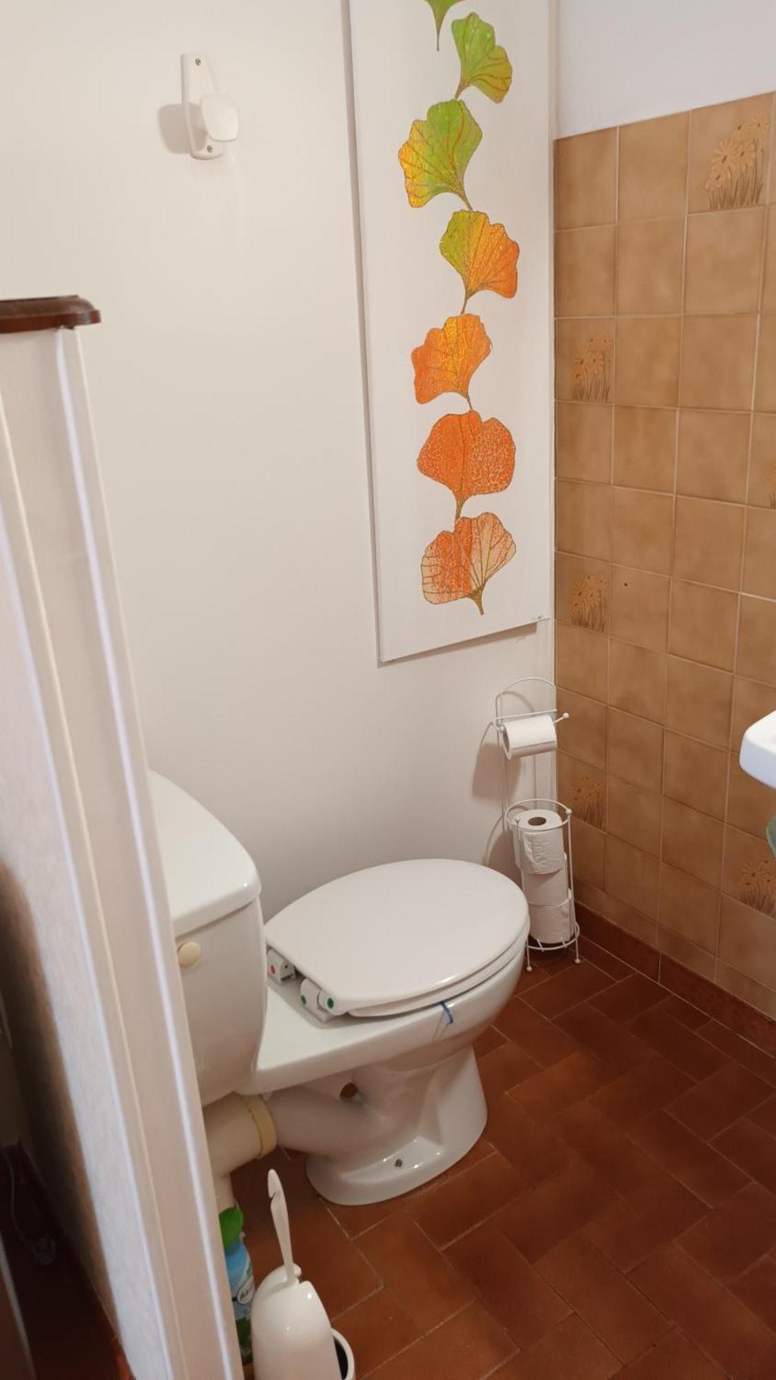 Gentil Coquelicot Lägenhet Mirepoix  Exteriör bild